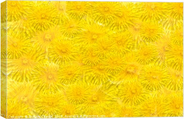 Dandelion yellow Canvas Print by Graham Chance