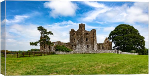 Old castle with farm field in Ireland  Canvas Print by Thomas Baker