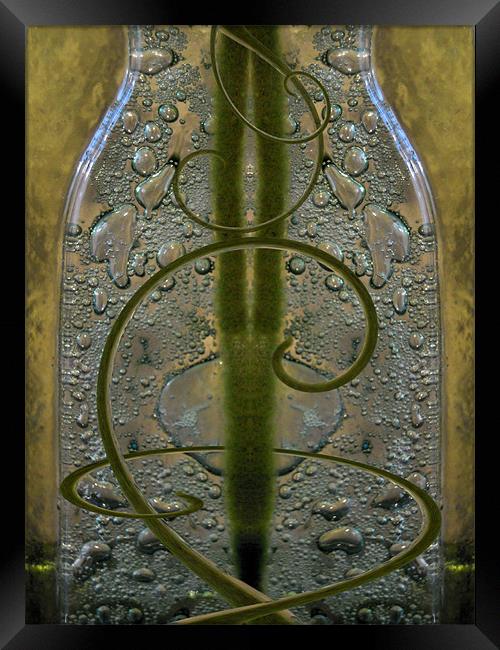 glass bottle Framed Print by Heather Newton
