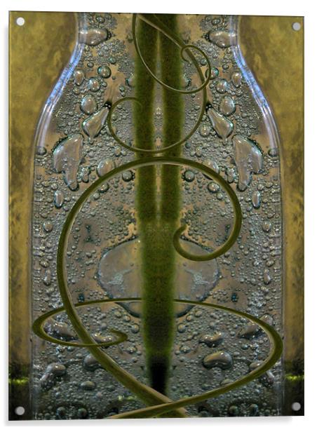 glass bottle Acrylic by Heather Newton