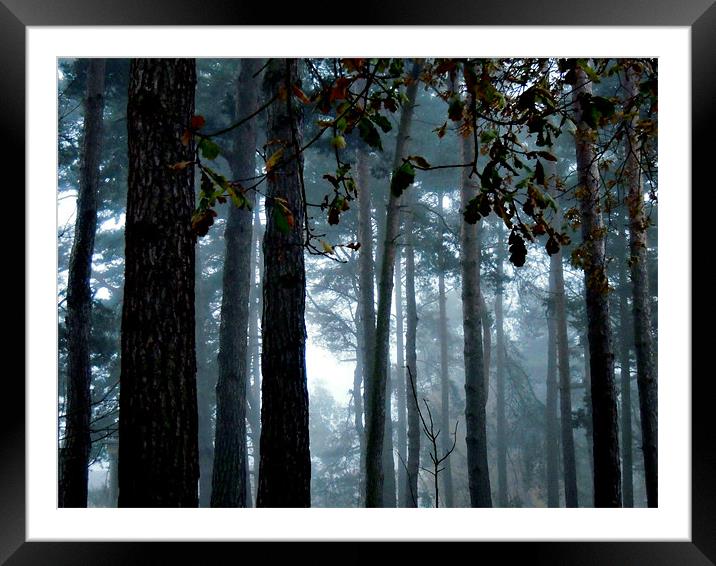 misty morning Framed Mounted Print by Heather Newton