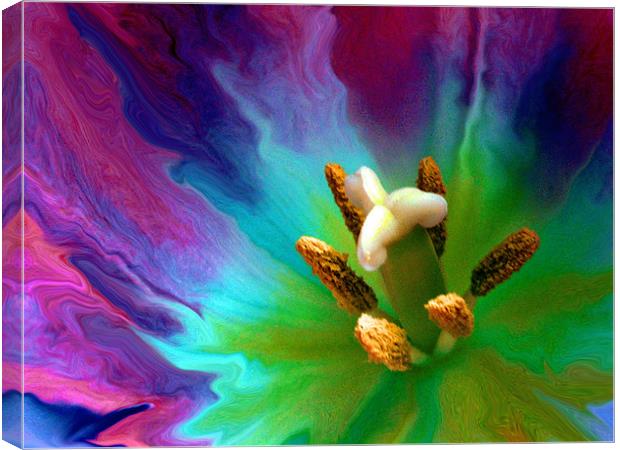 painted lily Canvas Print by Heather Newton