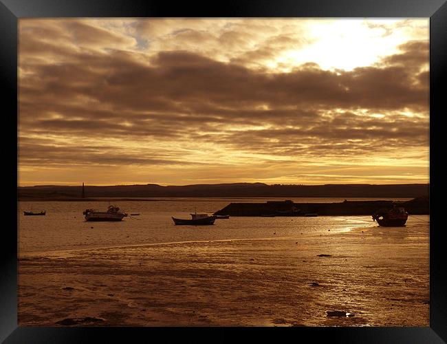 Lindisfarne Harbour Framed Print by Mark Malaczynski