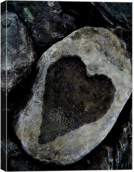 heart stone Canvas Print by Heather Newton