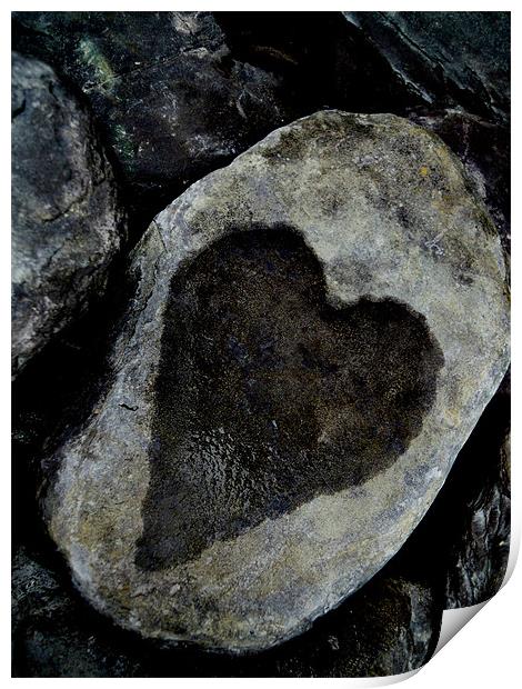 heart stone Print by Heather Newton