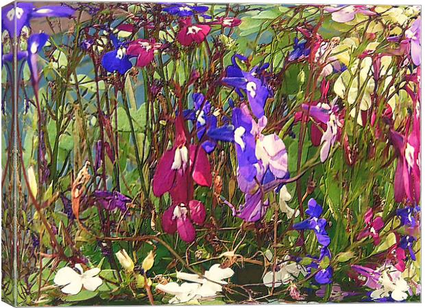 pool of flowers Canvas Print by Martin Parkinson