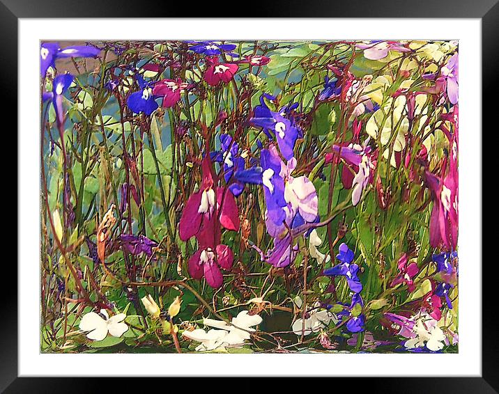 pool of flowers Framed Mounted Print by Martin Parkinson