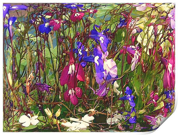 pool of flowers Print by Martin Parkinson