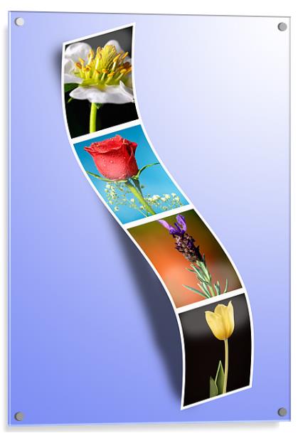 Floral Photobooth Acrylic by John Boyle