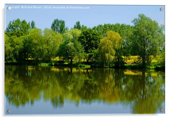 Early Spring Ardleigh Reservoir Acrylic by Diana Mower