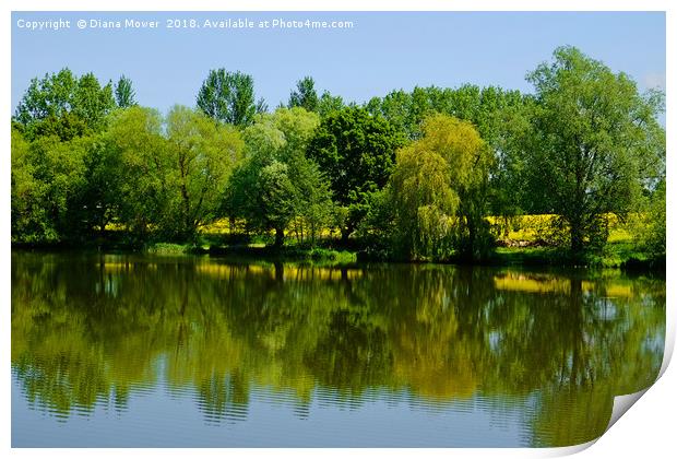Early Spring Ardleigh Reservoir Print by Diana Mower