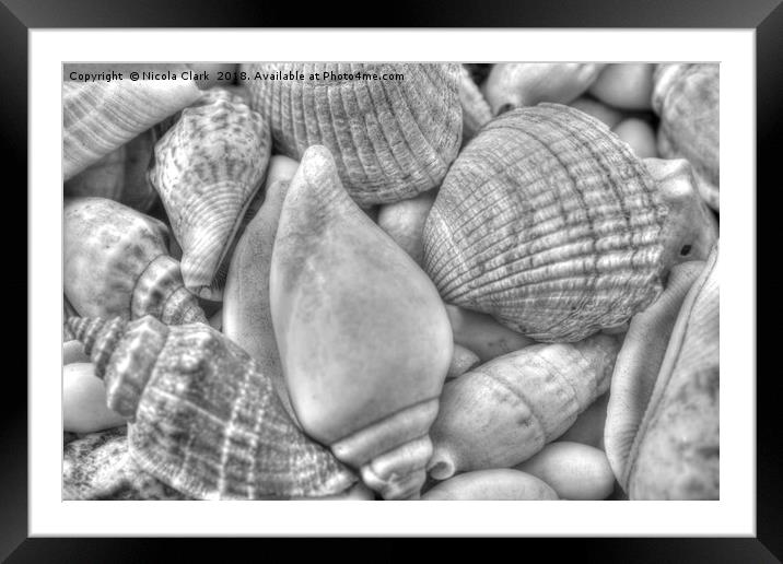 Seashells Framed Mounted Print by Nicola Clark