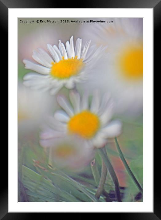 Daisy Chain Framed Mounted Print by Eric Watson