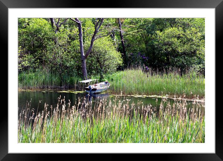 Old used boat next to wooden dock on pond Framed Mounted Print by Thomas Baker