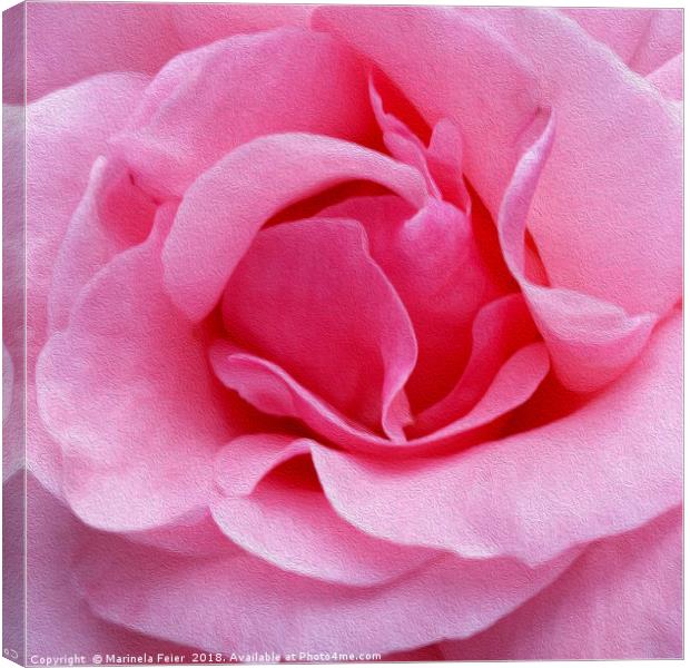 Pink rose petals Canvas Print by Marinela Feier