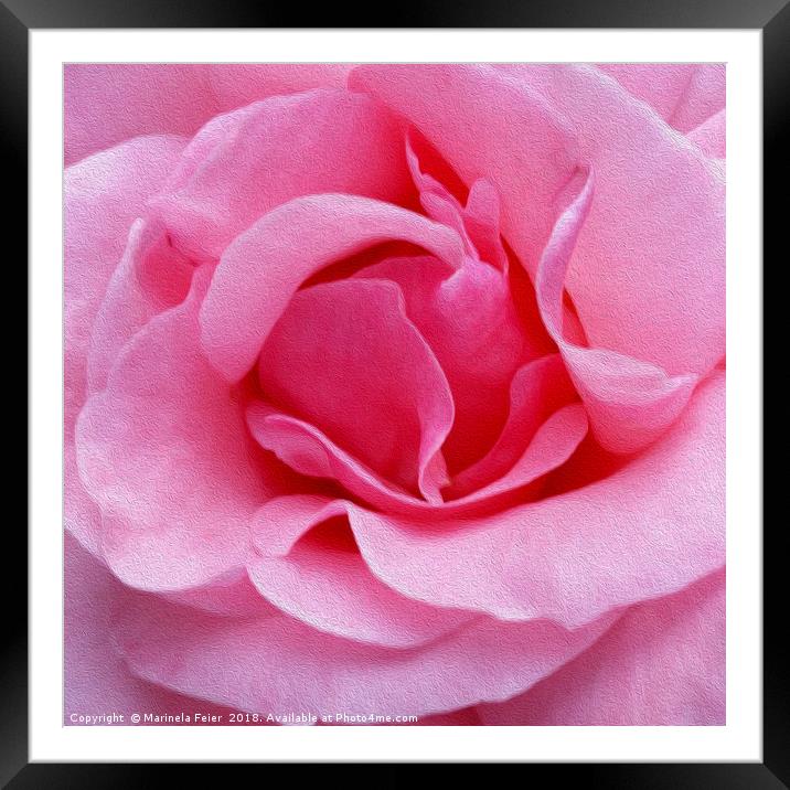Pink rose petals Framed Mounted Print by Marinela Feier