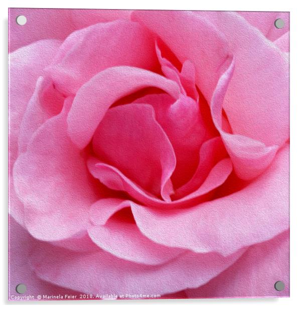 Pink rose petals Acrylic by Marinela Feier