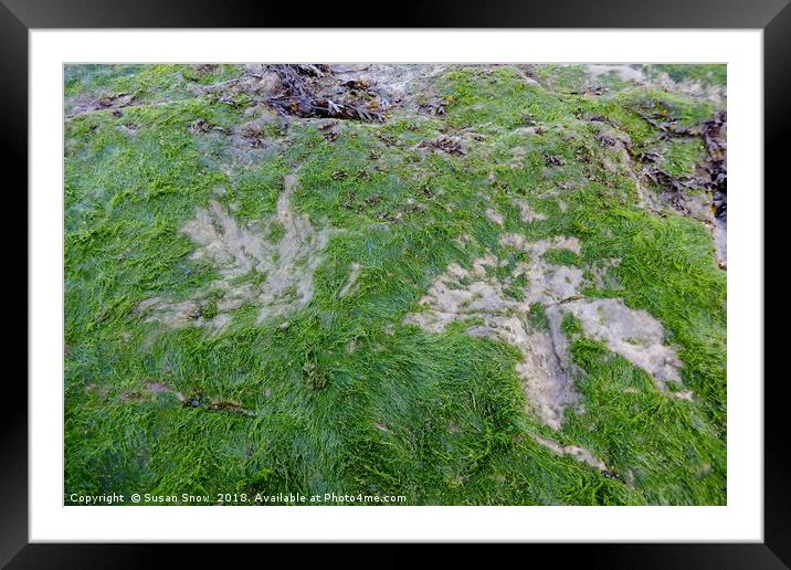 Dinosaur Footprints on the Isle of Skye Framed Mounted Print by Susan Snow