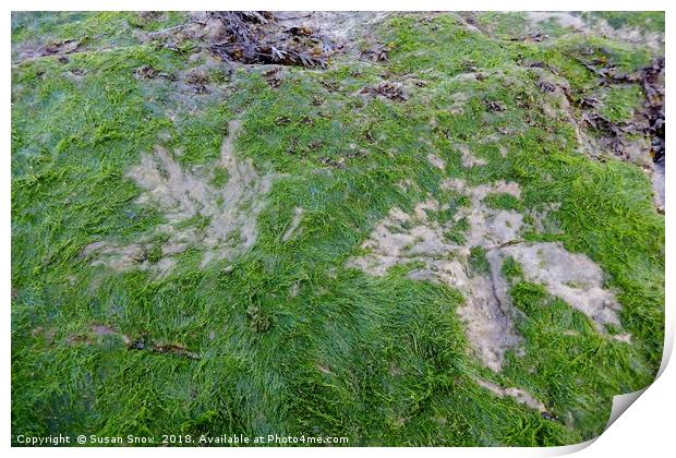 Dinosaur Footprints on the Isle of Skye Print by Susan Snow