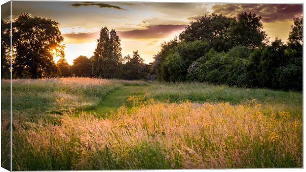 Evening on East Wickham Canvas Print by Mike Lanning