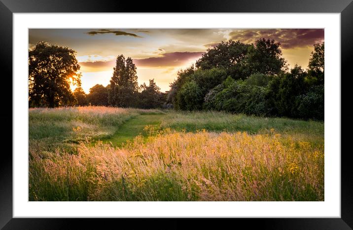 Evening on East Wickham Framed Mounted Print by Mike Lanning