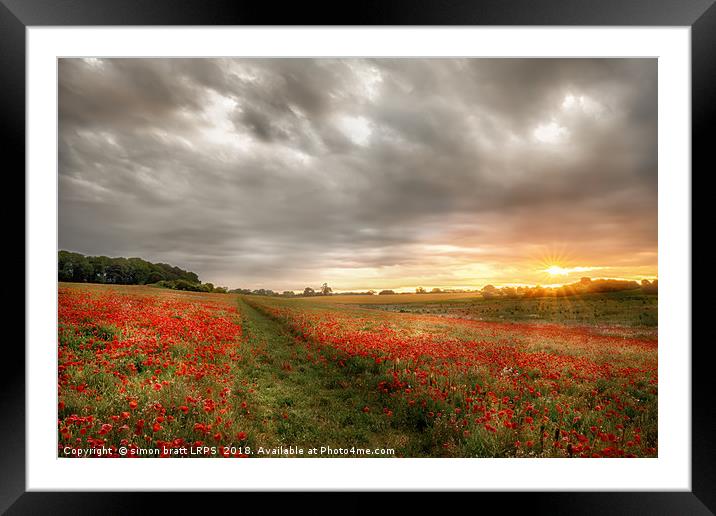 Path through wild poppies at dawn Framed Mounted Print by Simon Bratt LRPS