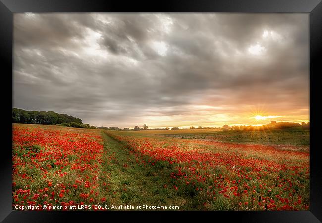 Path through wild poppies at dawn Framed Print by Simon Bratt LRPS