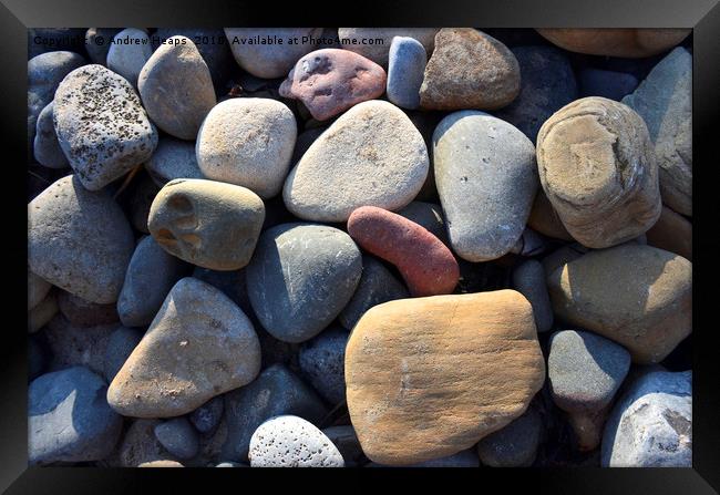 Beach Stones Framed Print by Andrew Heaps
