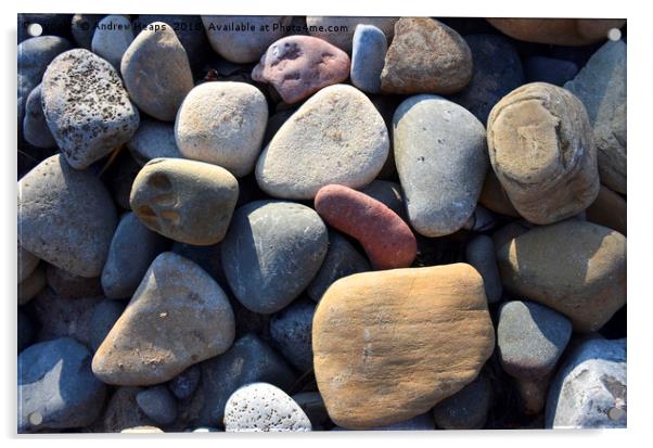 Beach Stones Acrylic by Andrew Heaps