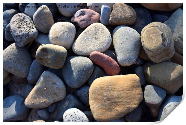 Beach Stones Print by Andrew Heaps