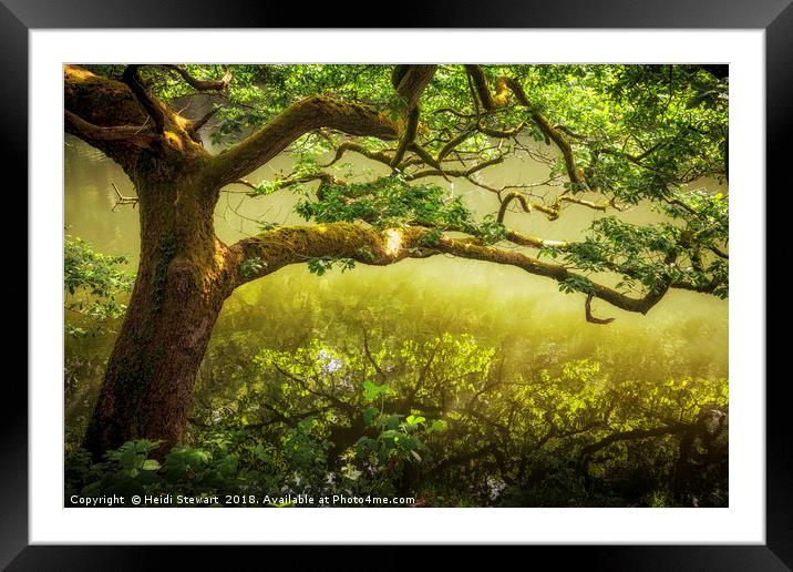 The Magic Tree Framed Mounted Print by Heidi Stewart
