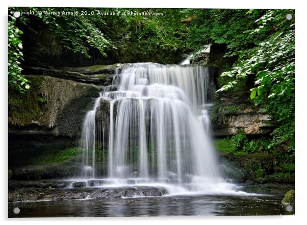 West Burton Waterfall, Wensleydale,Yorkshire Dales Acrylic by Martyn Arnold