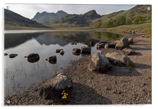 Langdale Pikes and Blea Tarn Acrylic by Derek Beattie