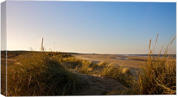 Dunes view Canvas Print by Robert Geldard