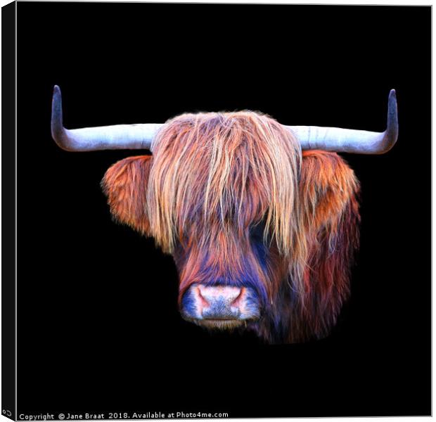 The Highland Cow Canvas Print by Jane Braat