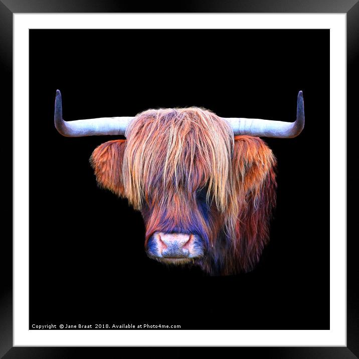 The Highland Cow Framed Mounted Print by Jane Braat