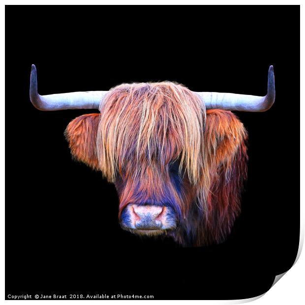 The Highland Cow Print by Jane Braat