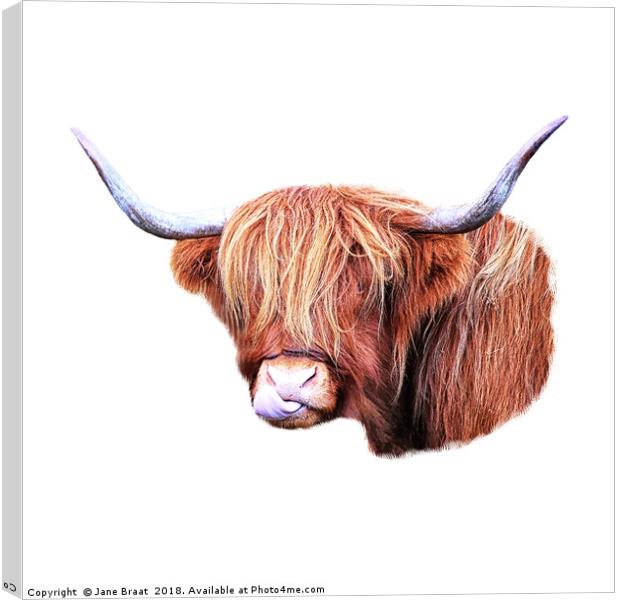 Highland Cow Canvas Print by Jane Braat