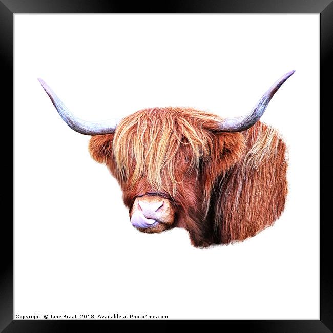 Highland Cow Framed Print by Jane Braat