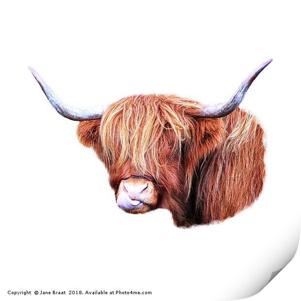 Highland Cow Print by Jane Braat