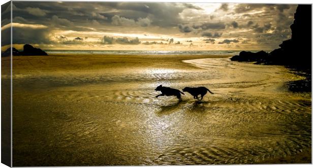 Sunset dog chase Canvas Print by Mike Lanning