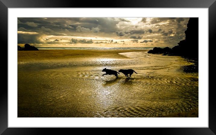 Sunset dog chase Framed Mounted Print by Mike Lanning