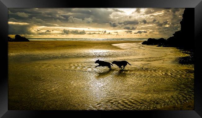 Sunset dog chase Framed Print by Mike Lanning