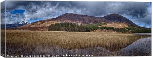 Driving to Elgol, Isle of Skye Canvas Print by yvonne & paul carroll