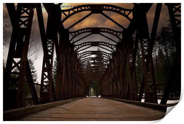 The Old Railway Bridge - Slovenia Print by rawshutterbug 