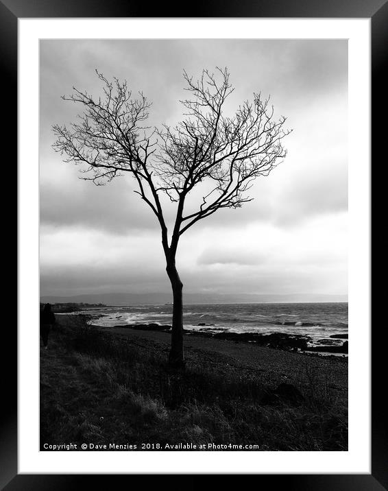 Lonesome tree Framed Mounted Print by Dave Menzies