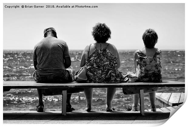 Enjoying the View Print by Brian Garner