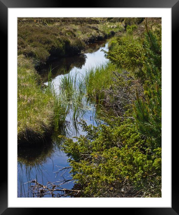 Peat Bog Framed Mounted Print by LIZ Alderdice