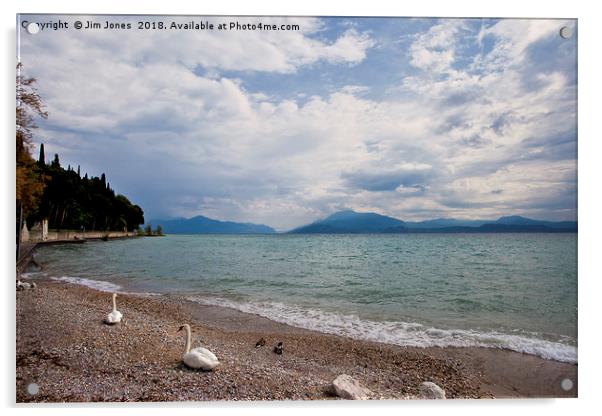 Swan's view of the lake Acrylic by Jim Jones