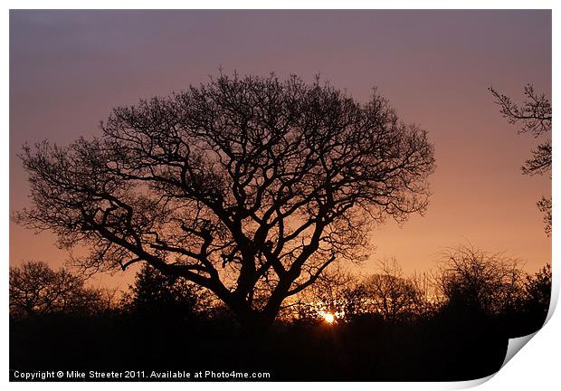 Sunrise in Purbeck Print by Mike Streeter